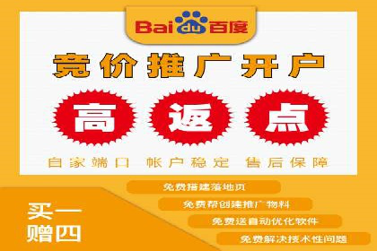 竞价广告的技巧与策略：网络推广的经典案例分享