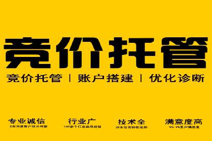 成功案例：百度推广代理助力电商突破